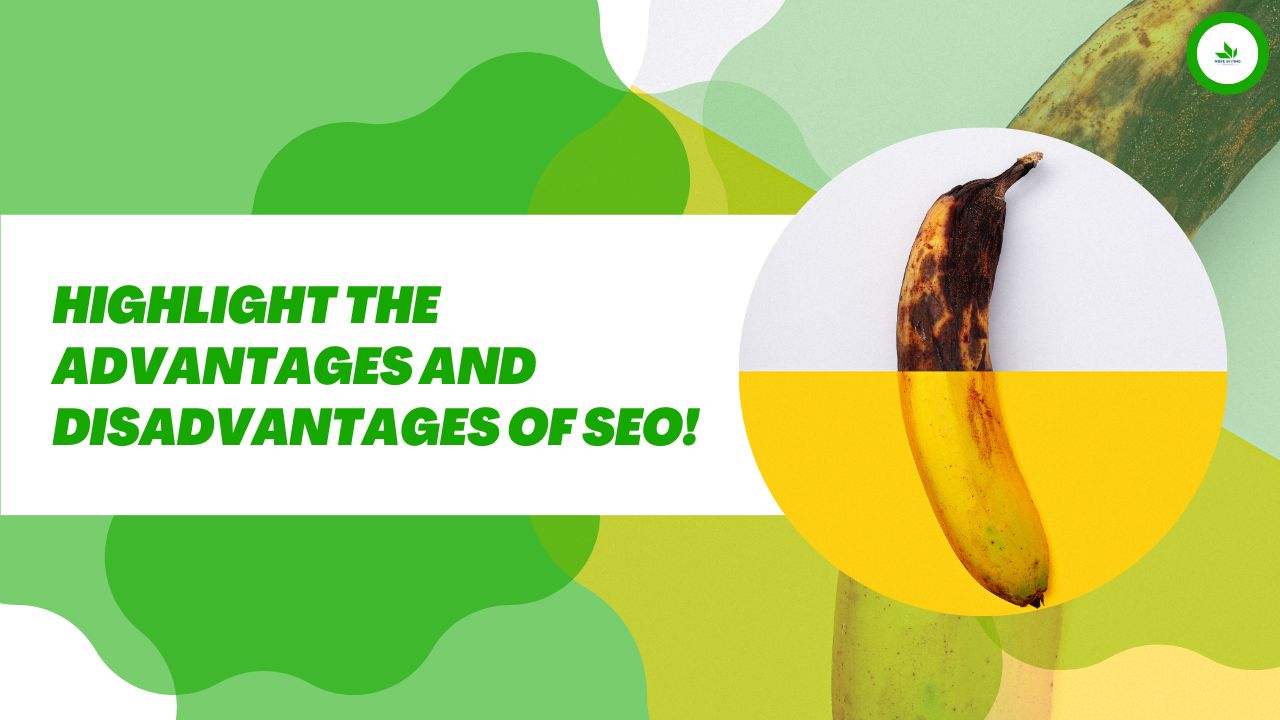 Highlight The Advantages and Disadvantages of SEO! 